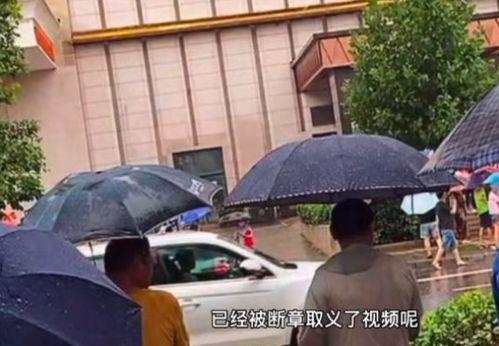 石家庄花园爆料事件视频,揭秘背后真相 第3张 石家庄花园爆料事件视频,揭秘背后真相 第3张